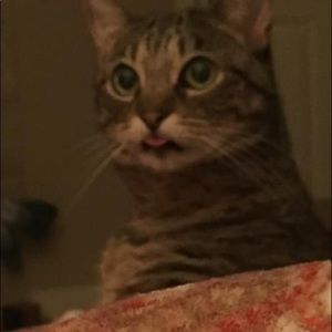 Meet your Posher, Amber